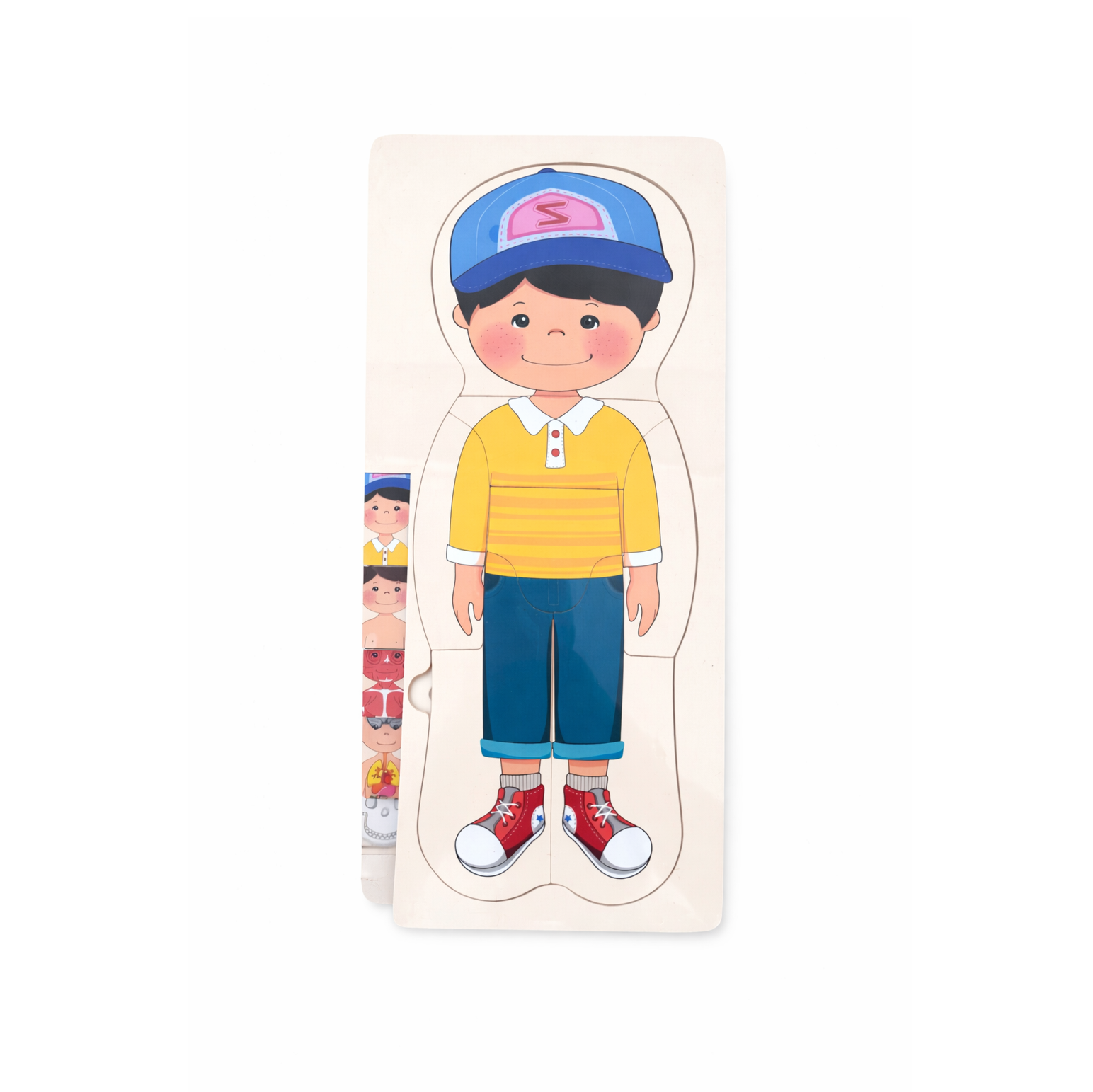 Puzzle Cuerpo Humano 5 Capas