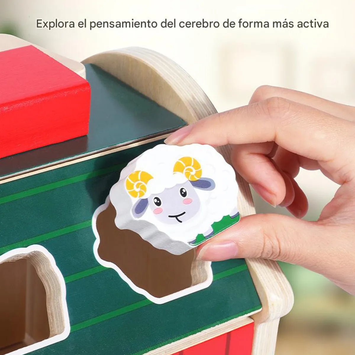 Granja de Encaje